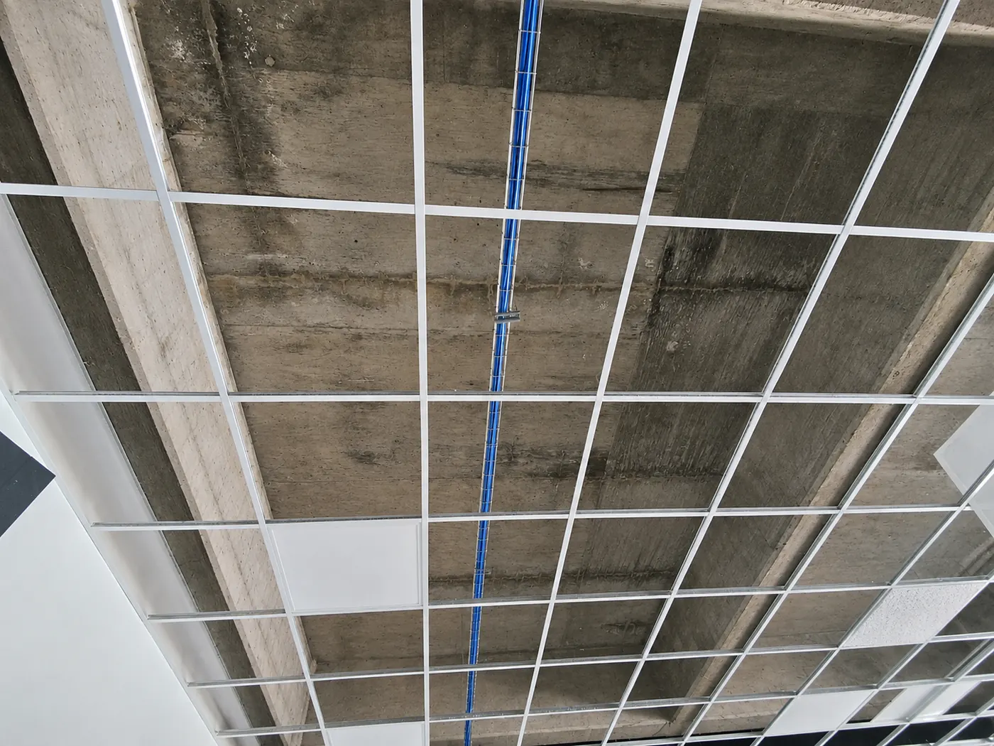 Canalización de cableado sobre plafón
